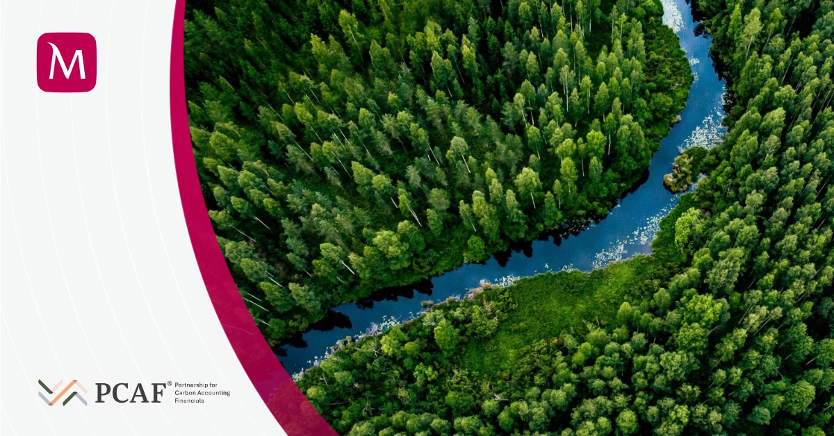 2026.05.18.Bank .Millennium.PCAF