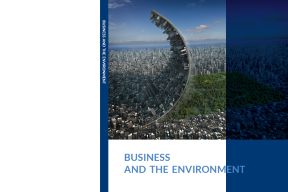 business and environment