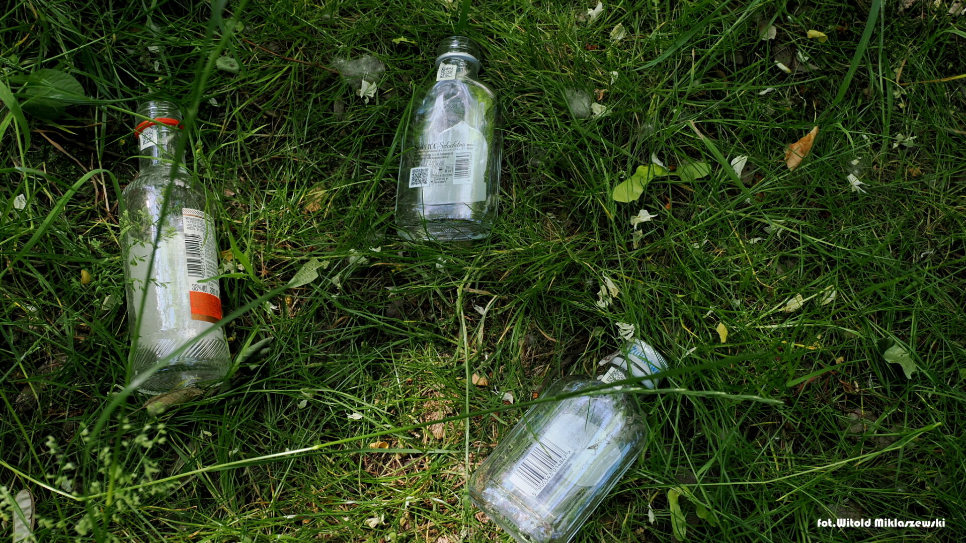 image00008